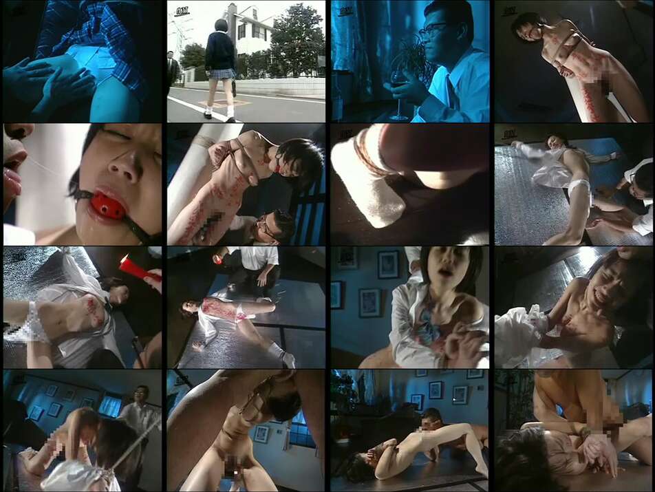[Art Video] 1729 Schoolgirl Breeding Notebook 1 Fallen Angel Miho 18 Years Old Secret Play After School Miho Akiyama 女校生飼育手帖 1 悦虐の堕天使みほ18才 放課後の密戯 秋山みほ