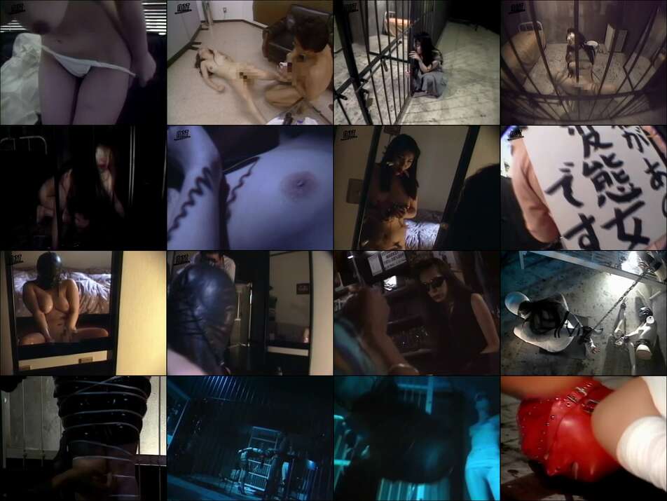 [ARTS]ADV-SR0108 BIZARRE ORGASMS 52 Recorded work "Shameful Woman" Karii Minamida "Pleasure of the Shadow Beast" Eriko Misaki "Woman Without a Face" Chinami Aso ビザールオルガズム 52 収録作品「恥さらしの女」南田カリイ「陰獣の愉悦」美咲江梨子「顔のない女」麻生ちなみ
