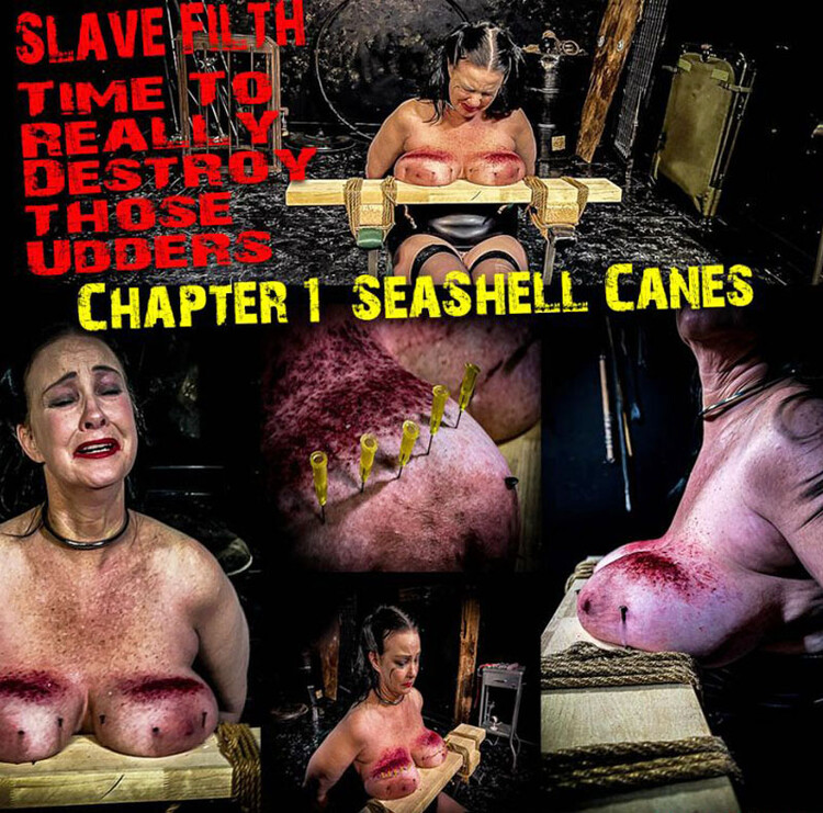 BrutalMaster - Slave Filth - Time To Really Destroy Those Udders (01.04.23)