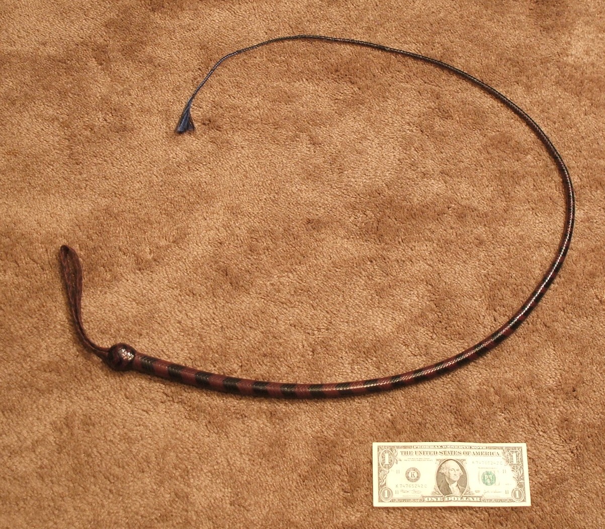 Signal whip