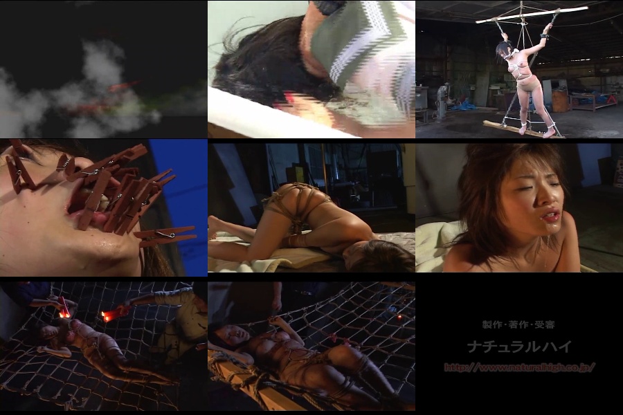NHDT-017 変奴SM ヘンドリミックス 2 月咲舞