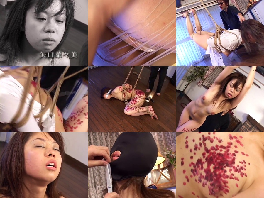 VNDS-687 イカセSM 矢口菜々美