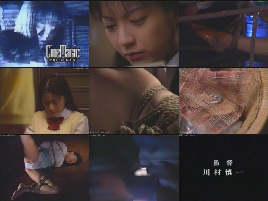 VS-395 インモラル女校生 5 中井淳子 [Exclusive]