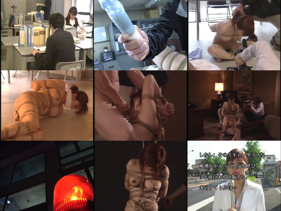 VS-756 痴辱のレポーター 朝比奈ゆい DVS-015 DD-115