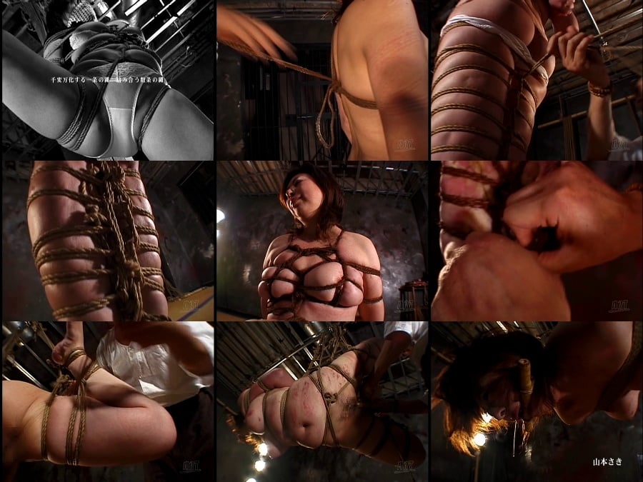 ADV-R0235 責め縄秘画報 縄悦 其ノ八 激縛狂い泣く女肉 山本さき