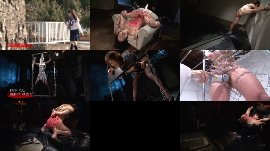 ADV-SR0043 クライマックスダイジェスト 淫らな堕天使たち'11-2 和泉しずく, 水沢結那, 篠田めぐみ, 柏木リエ, 桜井ゆり, 元木ひなよ