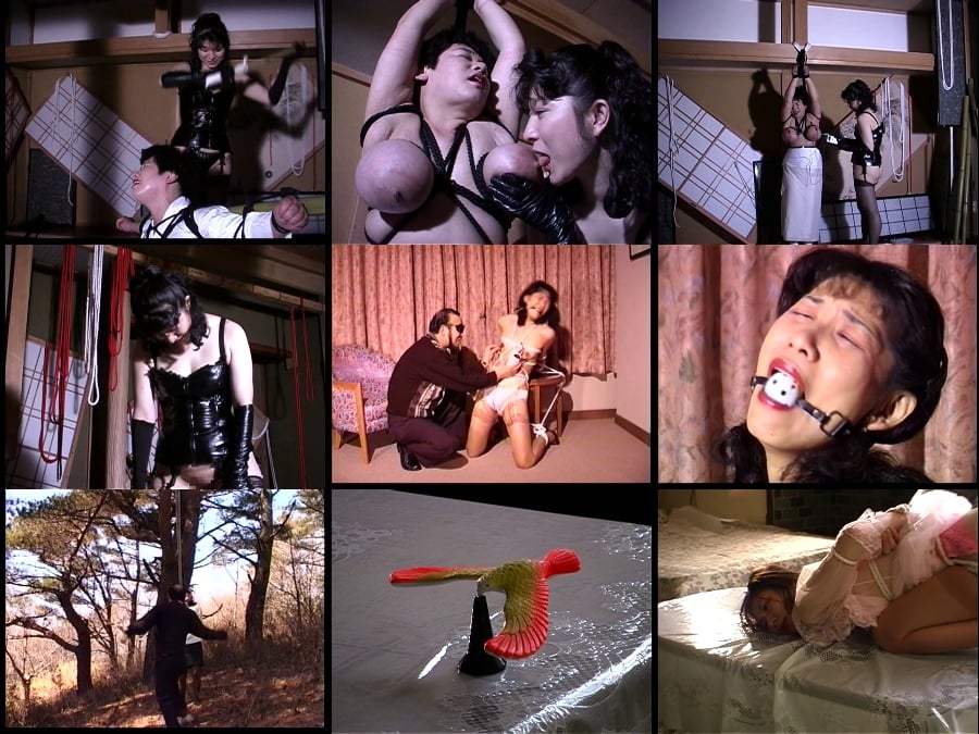 AXDVD-0087R 女体実験 人妻電流責め